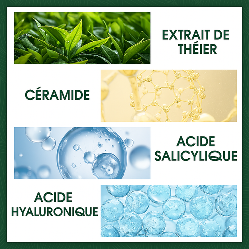 Crème Anti-Imperfections au Tea Tree – Hydratation & Réparation